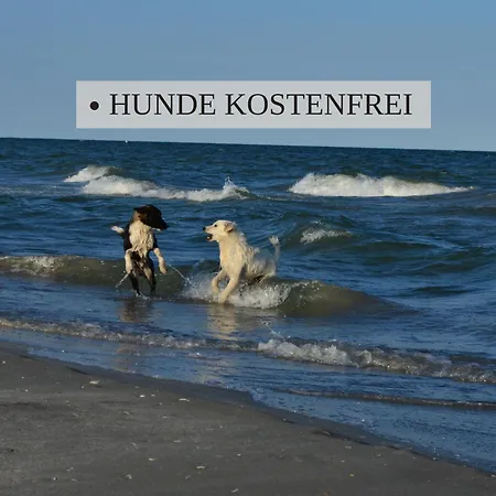Haus Krabbe Nordsee 2, Fuer 1-2 Personen, Doppelbett, Erdgeschoss, Kostenfreier Parkplatz, 2 Hunde Willkommen, Gute Zuganbindung, Zentral Gelegen, Naehe Bremerhaven Wremen