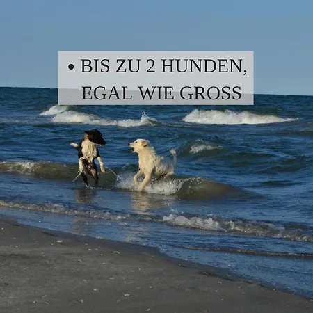 Haus Krabbe Nordsee 2, Fuer 1-2 Personen, Doppelbett, Erdgeschoss, Kostenfreier Parkplatz, 2 Hunde Willkommen, Gute Zuganbindung, Zentral Gelegen, Naehe Bremerhaven Apartamento Wremen