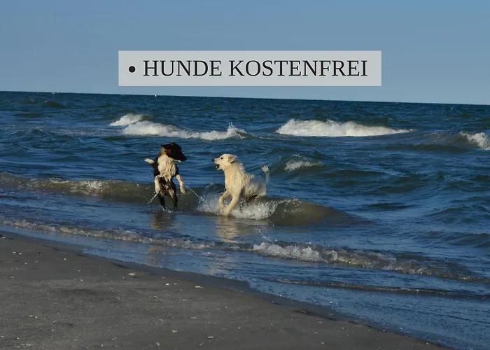 Haus Krabbe Nordsee 2, Fuer 1-2 Personen, Doppelbett, Erdgeschoss, Kostenfreier Parkplatz, 2 Hunde Willkommen, Gute Zuganbindung, Zentral Gelegen, Naehe Bremerhaven ヴレーメン