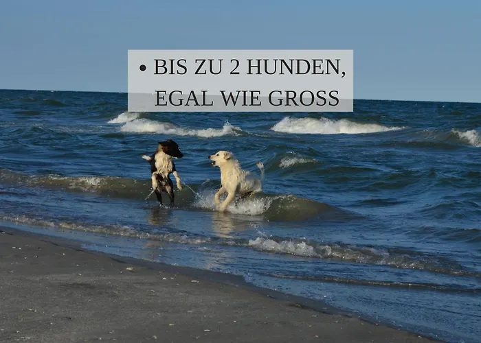 Haus Krabbe Nordsee 2, Fuer 1-2 Personen, Doppelbett, Erdgeschoss, Kostenfreier Parkplatz, 2 Hunde Willkommen, Gute Zuganbindung, Zentral Gelegen, Naehe Bremerhaven アパート ヴレーメン
